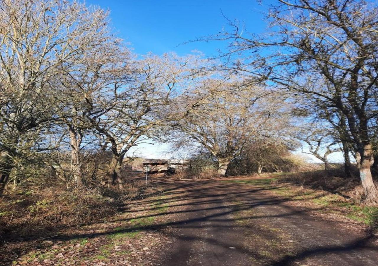 Exklusive Naturoase Direkt Am Ars Natura Wanderweg Mit Panoramablick Auf Melsungen Dış mekan fotoğraf